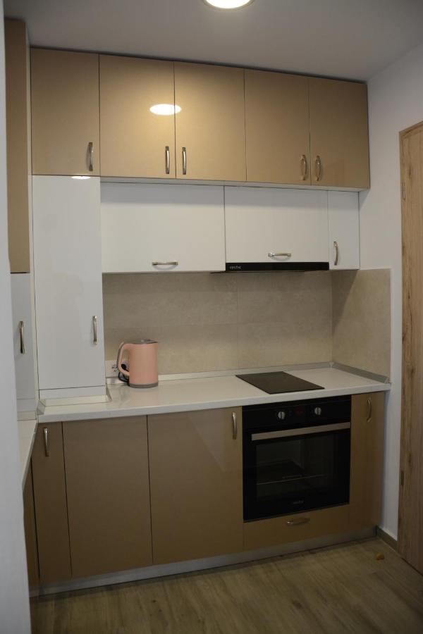 Luxury Panorama Apartament,Coresi Braşov Eksteriør billede
